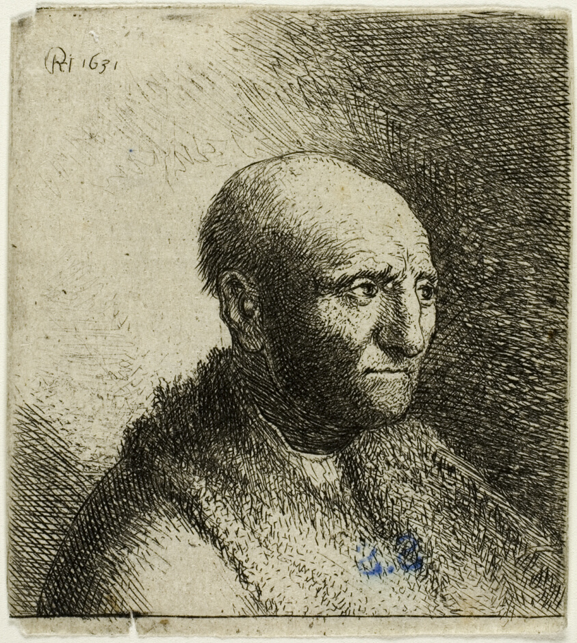 Bald Man in a Fur Cloak: Bust