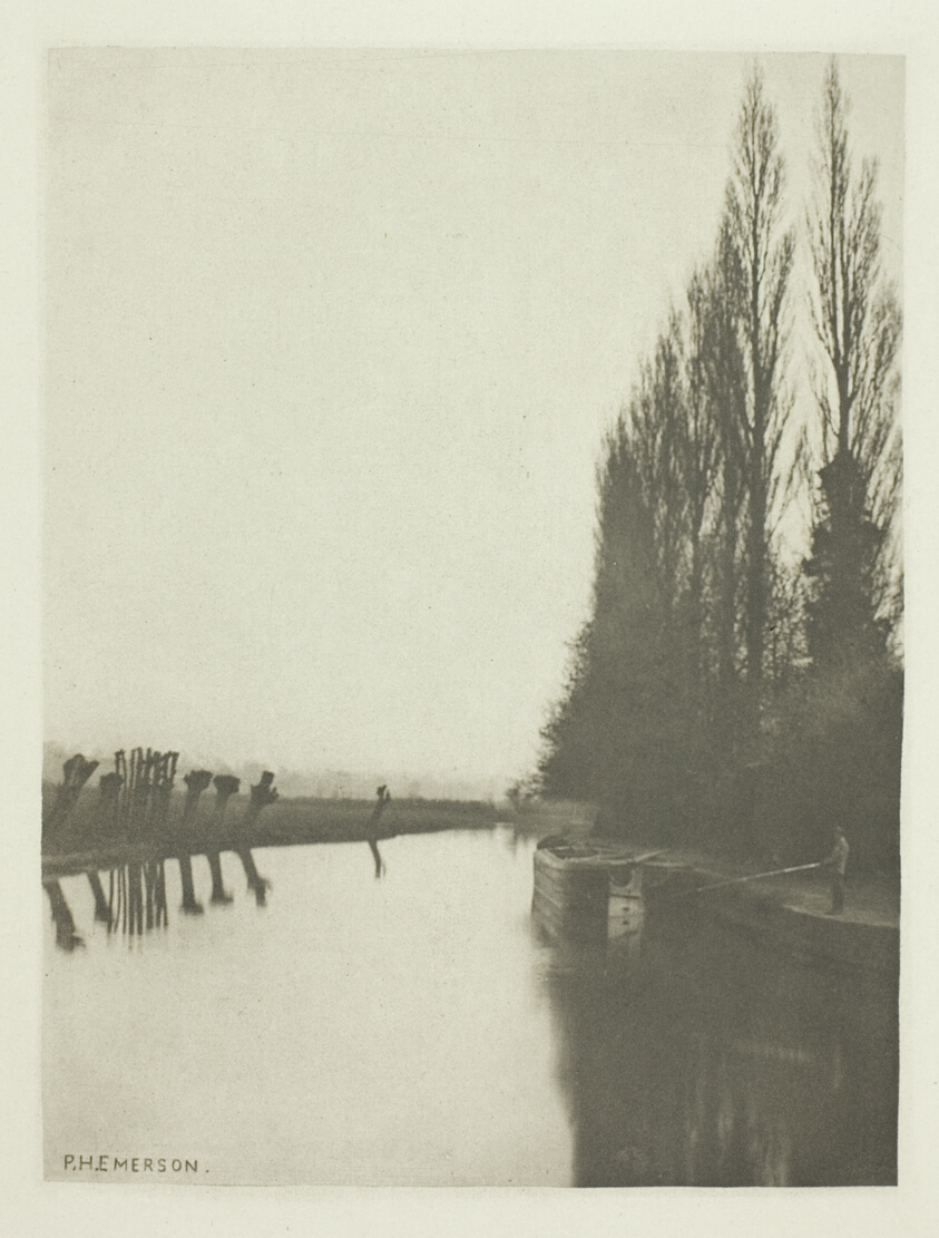 Poplars and Pollards on the Lea, Near Broxbourne