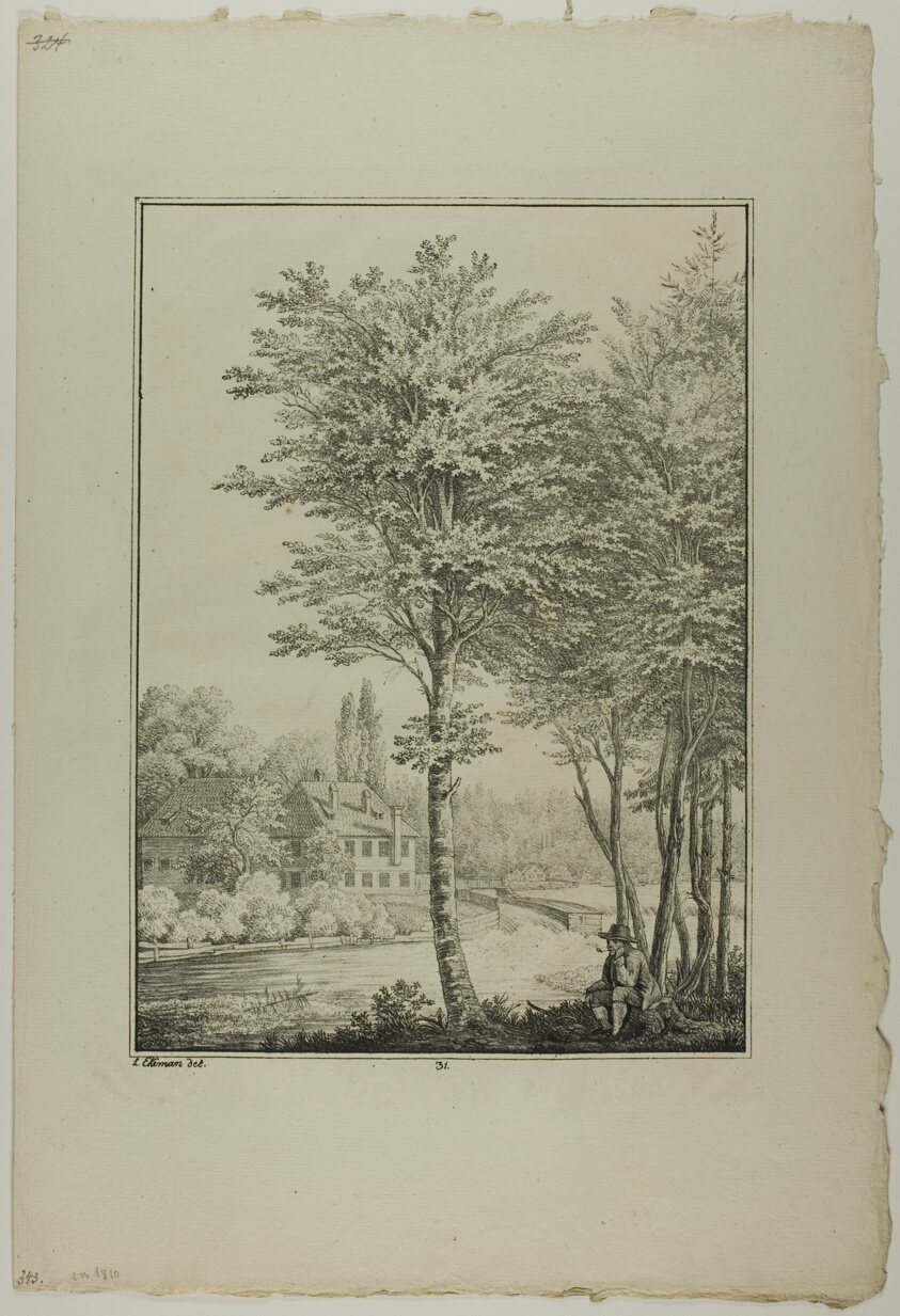 Plate 31 from Blatt Baum und Landschafts Studien