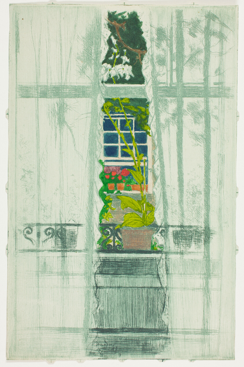 A Window Seen Through a Window