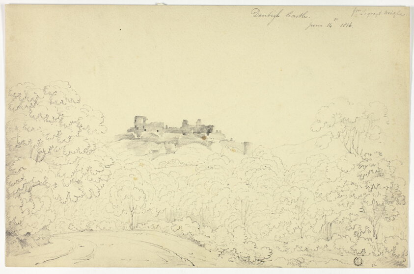 Denbigh Castle from Segroyt Dingle