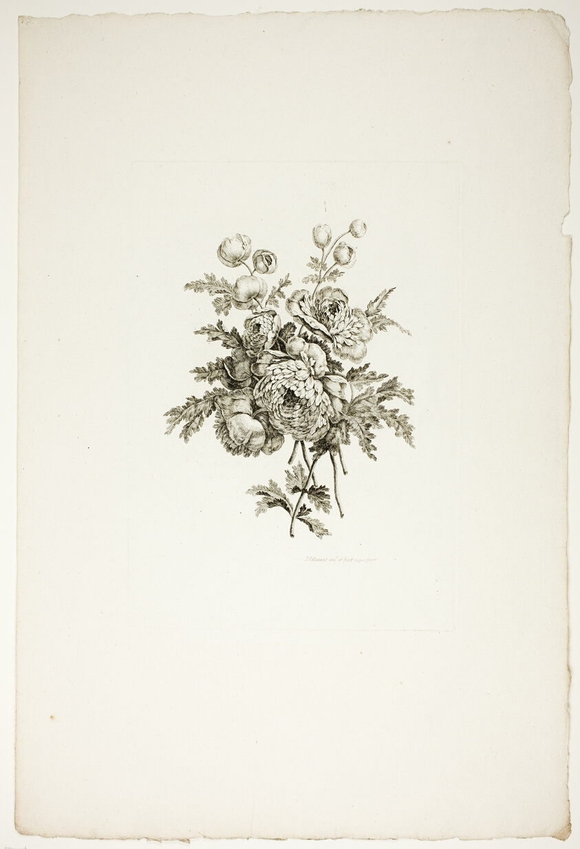 Bouquet with Peonies, from Recueil de differents bouquets de fleurs