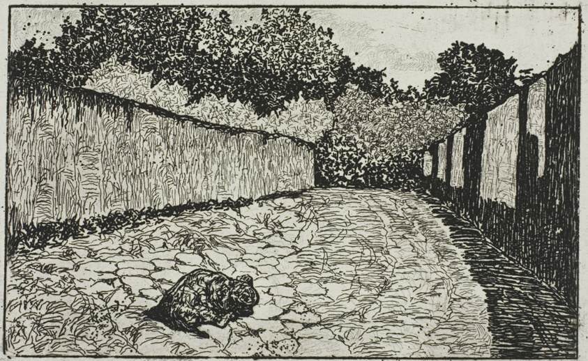 Small Street on the Outskirts of Florence with Puppy