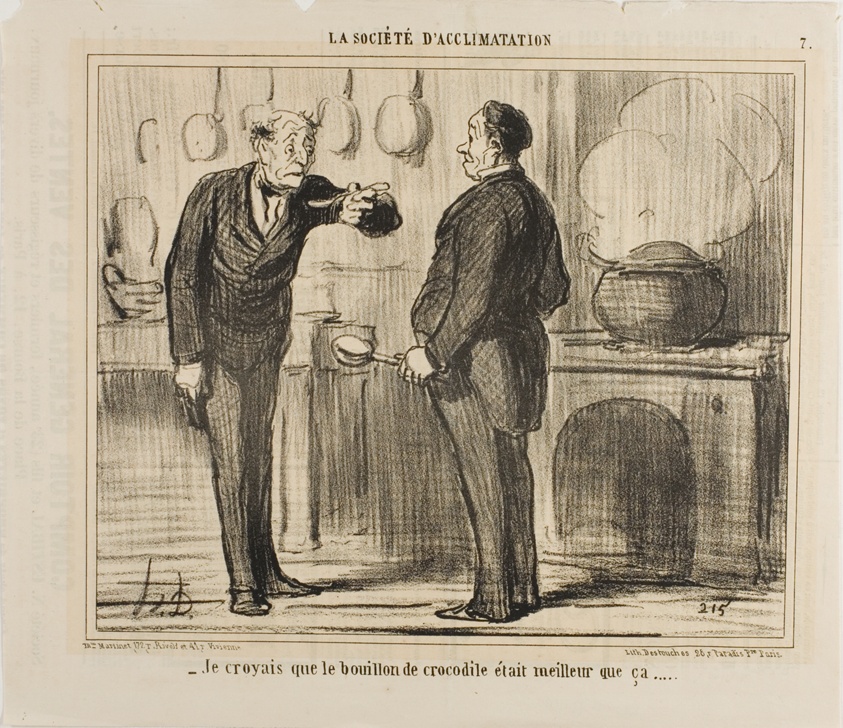 “- I actually thought a crocodile soup would taste better than that,” plate 7 from La Sopciété D'acclimatation