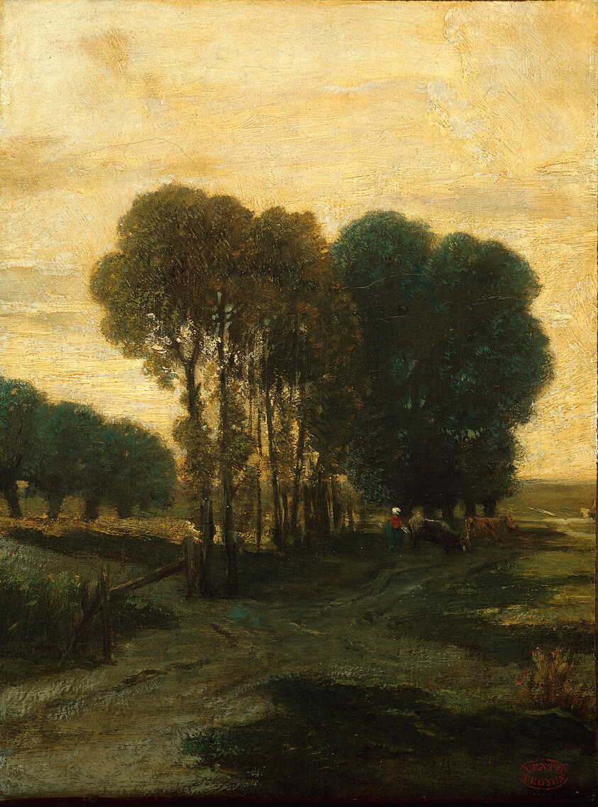 A Clump of Trees