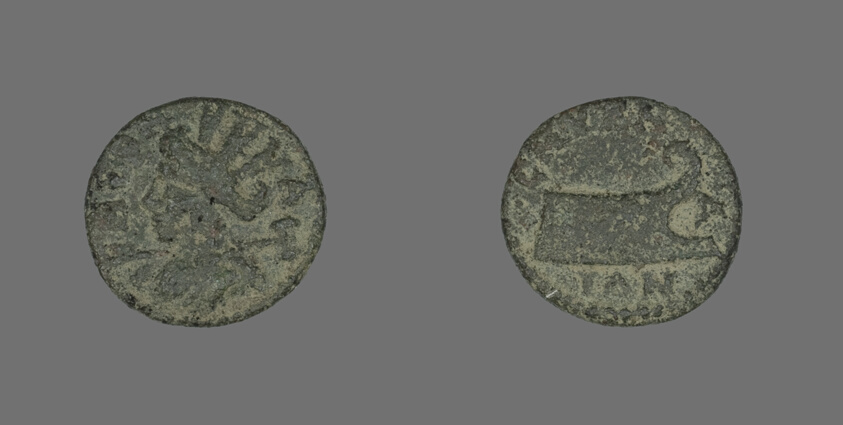Coin Depicting the Amazon Smyrna
