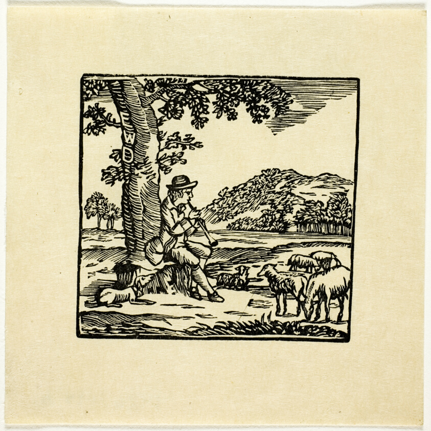 Book Illustration