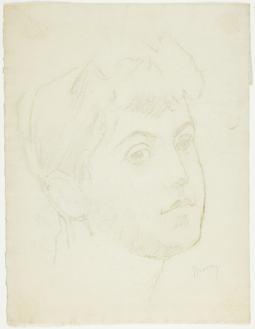 Portrait Head of a Young Woman