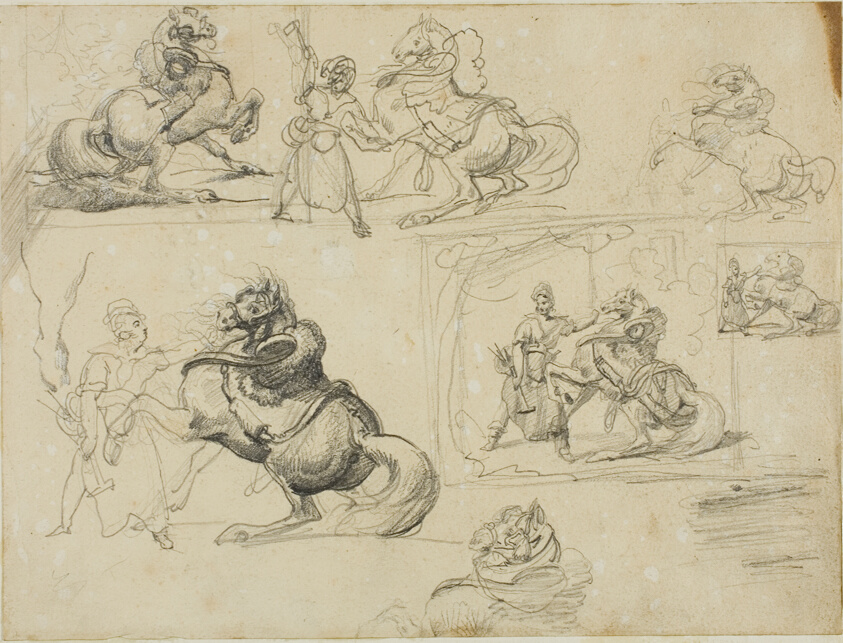 Studies