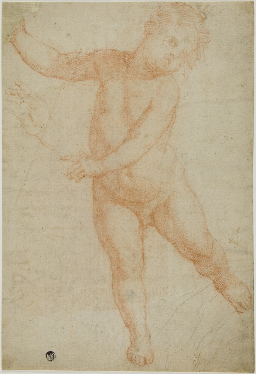 Putto Poised on Right Leg (recto); Sketch of a Draped Arm (verso)