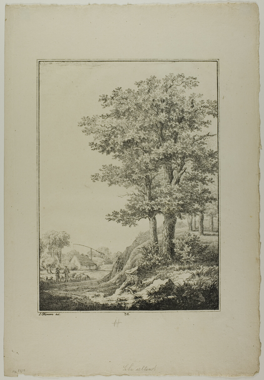 Plate 32 from Blatt Baum und Landschafts Studien