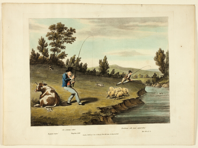 Delights of Fishing