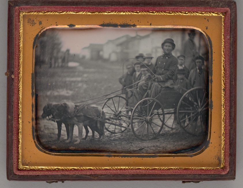 Untitled (Alfred Crandon Dog Team)
