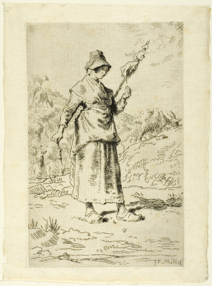 The Spinner