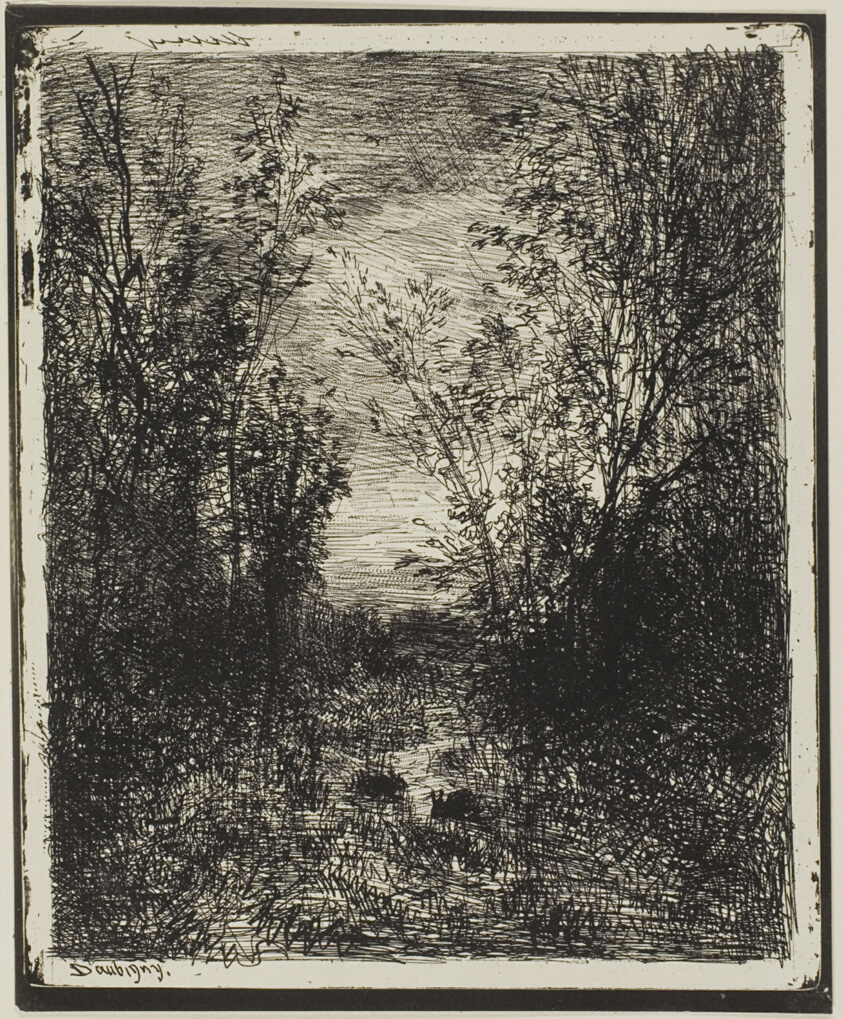 Brook in the Clearing