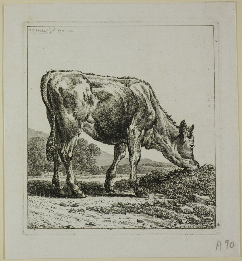 Calf Feeding, from Die Zweite Thierfolge