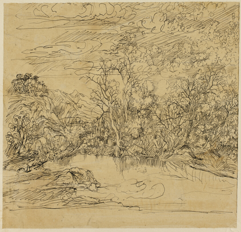 Bank of a Pond