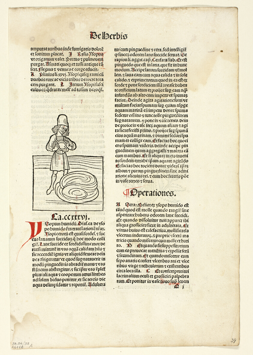 Man purging fluid from lungs (recto) and Plant for abdominal pain (verso) from Hortus Sanitatis (Garden of Health), Plate 35 from Woodcuts from Books of the 15th Century