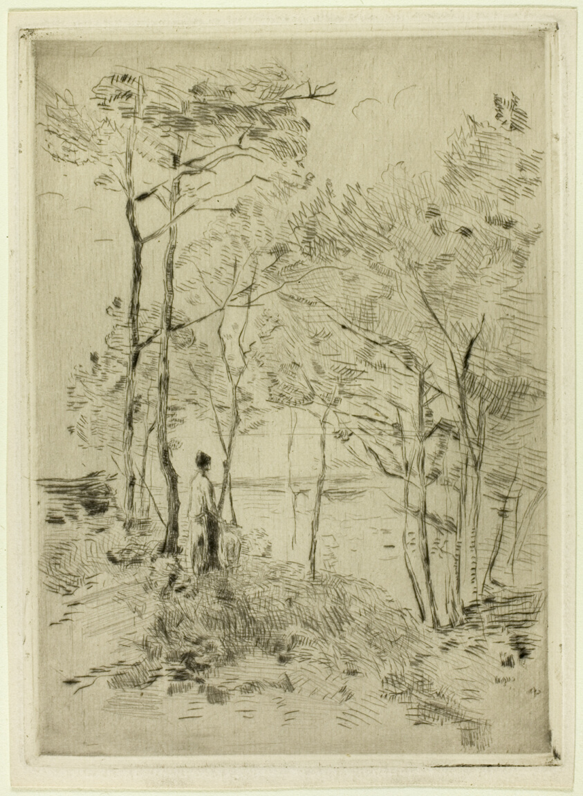 Woman Standing Among the Trees