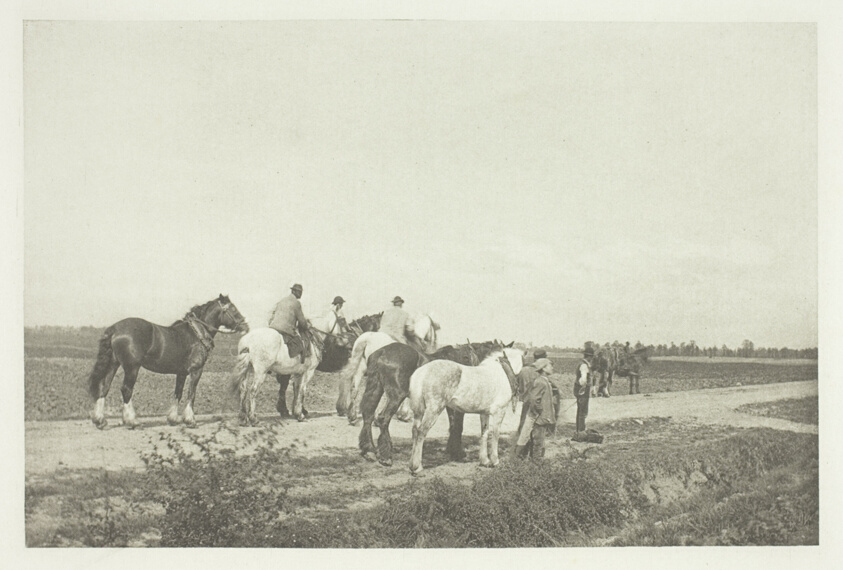 Homewards from Plough