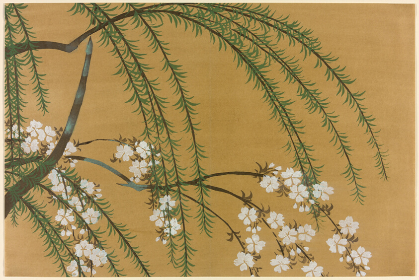 Willow and Cherry Branches, from the series "Worlds of Things (Momoyogusa)"