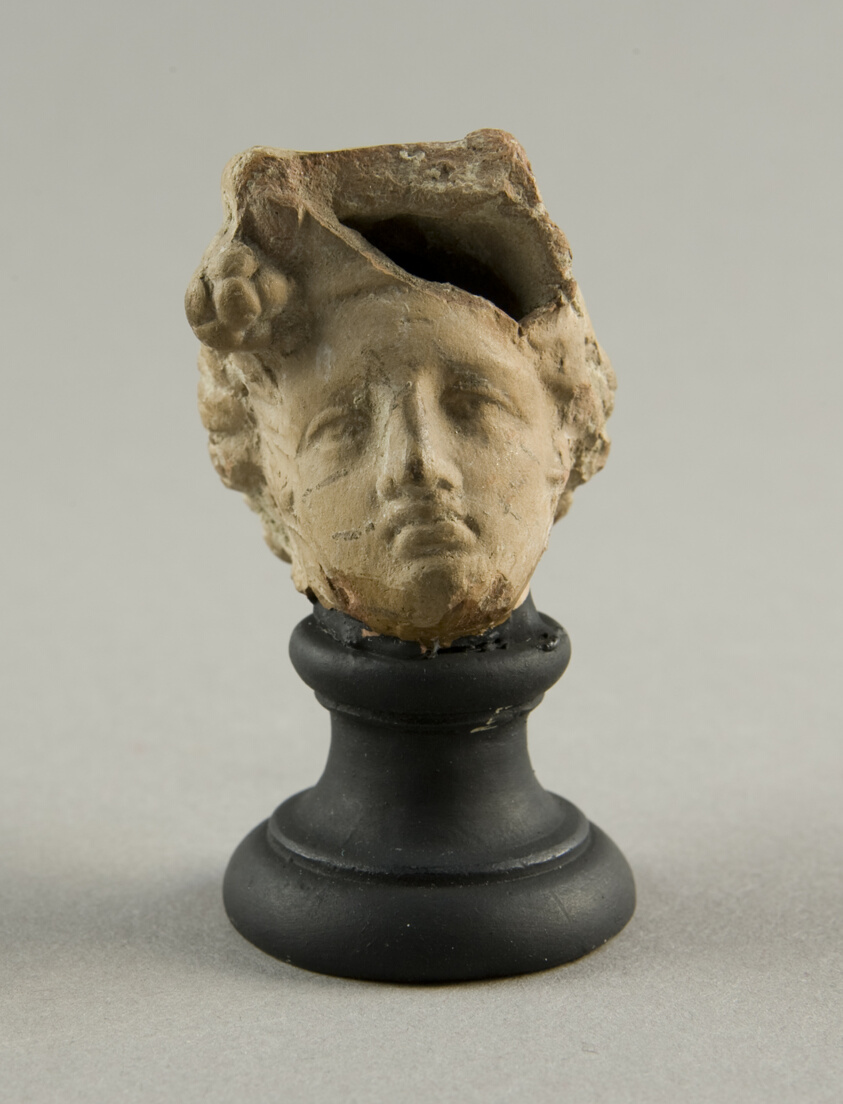 Head of a Woman