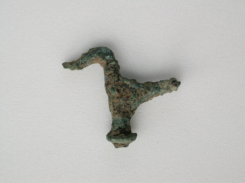 Bird Fragment