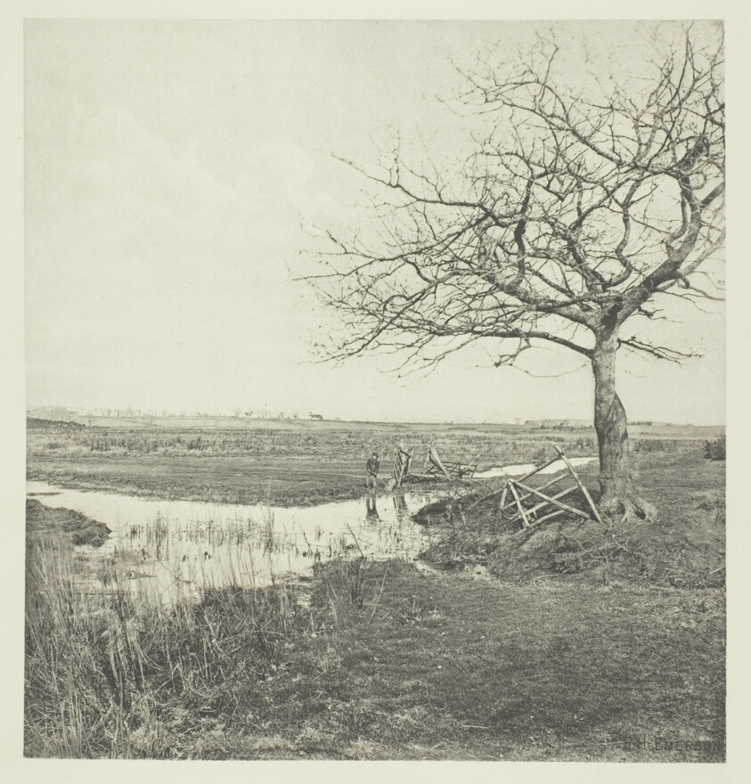 Leafless March (Suffolk)