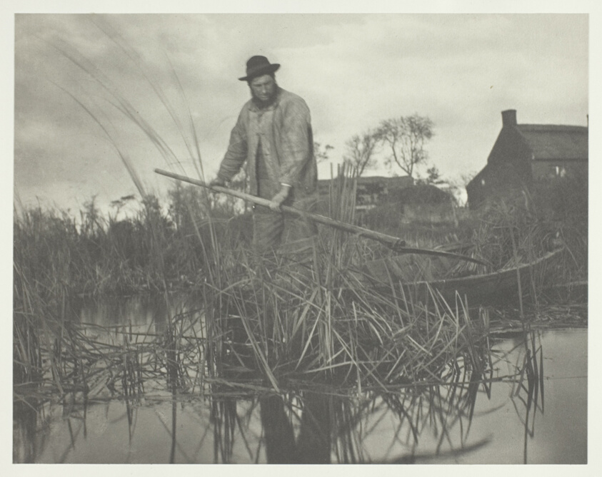 Cutting the Gladdon