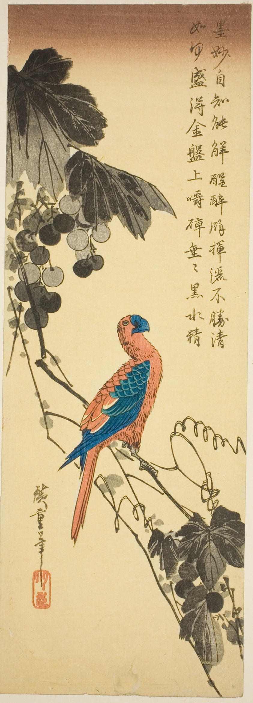 Parrot on a Grapevine