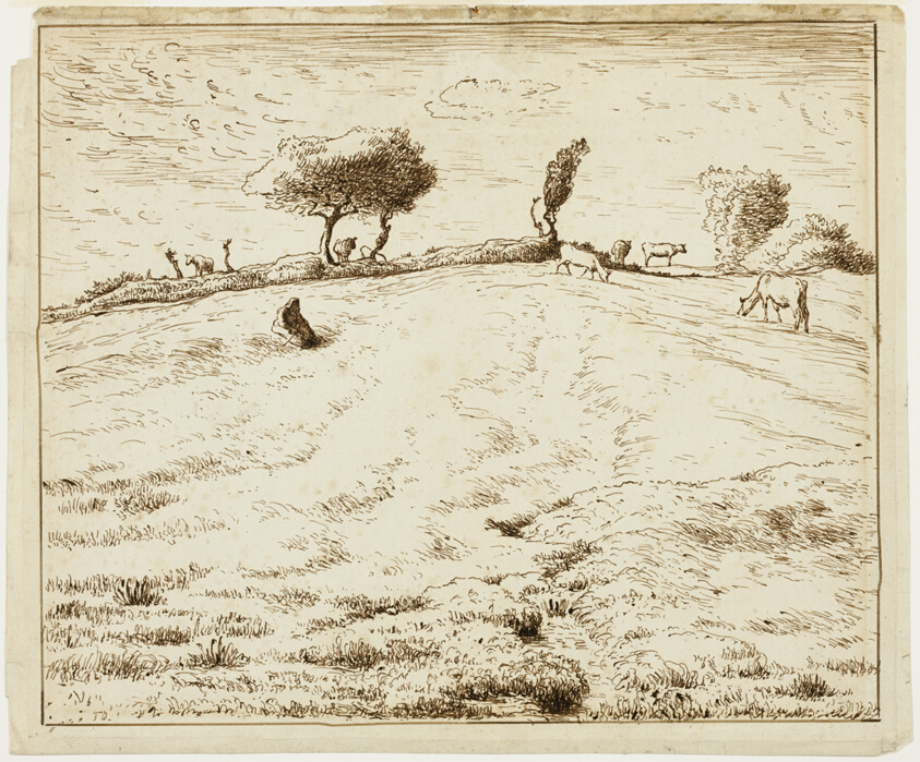 Landscape - Hillside in Gruchy, Normandy