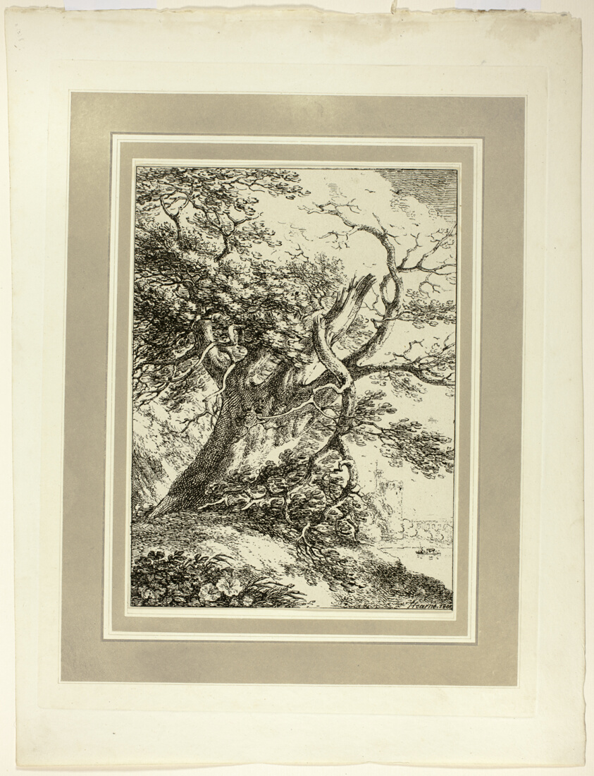 Old Tree, from the first issue of Specimens of Polyautography