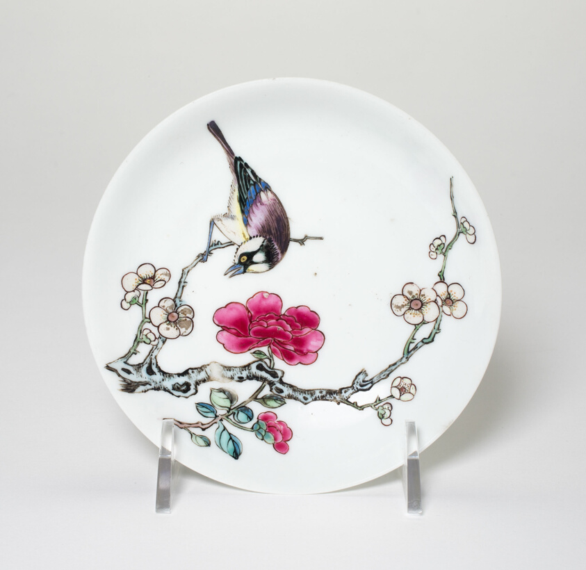 Saucer with Camellia Flower and Bird on Plum Tree