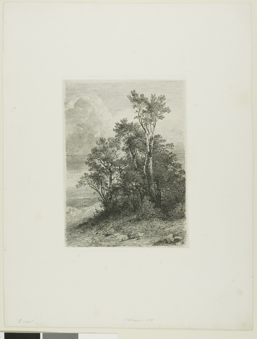 Alpine Landscape