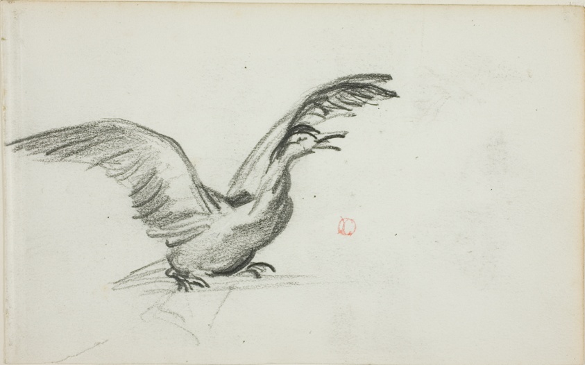 Wild Duet (recto); Two Standing Nude Female Figures in Niches (verso)
