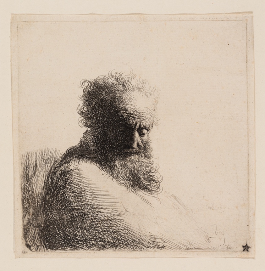 Bust of an Old Bearded Man, Looking Down, Three Quarters Right