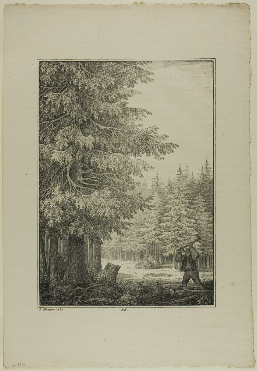 Plate 35 from Blatt Baum und Landschafts Studien