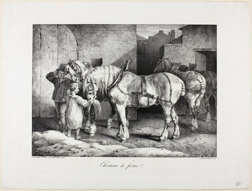 Farm Horses