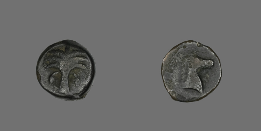 Coin Depicting a Date Palm Tree
