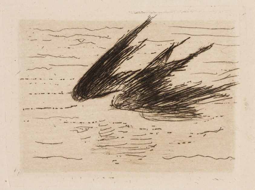 Swallows, plate 8 from Le Fleuve