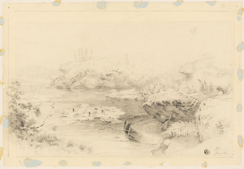 Pond with Water Lilies