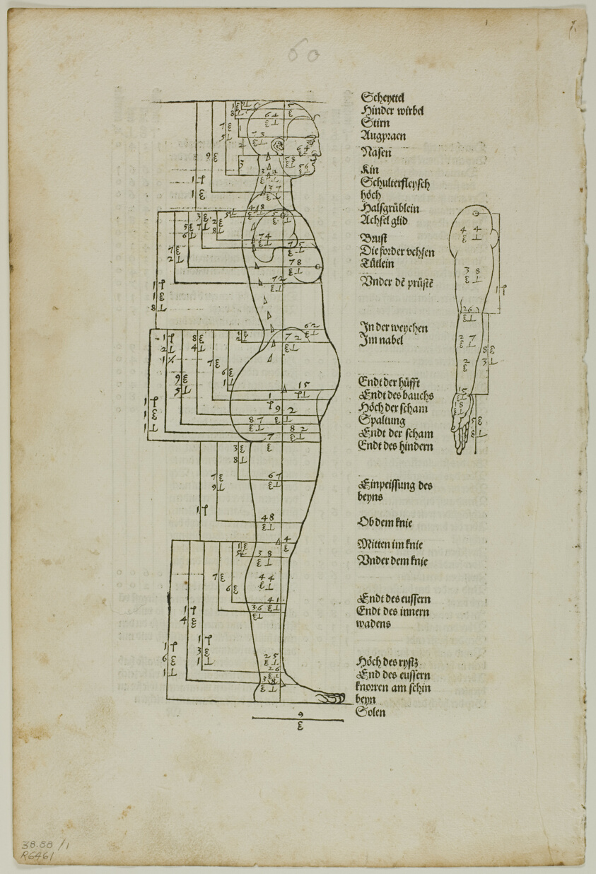 Illustration to Vier Bücher von der Menschlichen Proportion, plate one from Woodcuts from Books of the XVI Century
