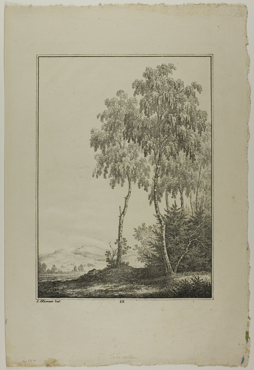 Plate 25 from Blatt Baum und Landschafts Studien