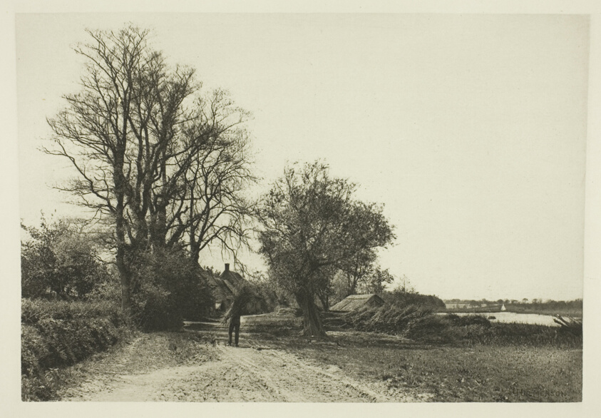 The Farm by the Broad (Norfolk)