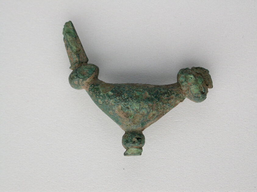 Fibula (leech type)