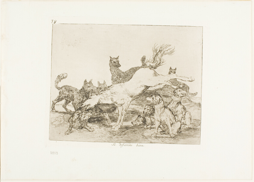He defends himself well, plate 78 from The Disasters of War