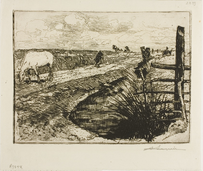 Road in the Marais, Vendée