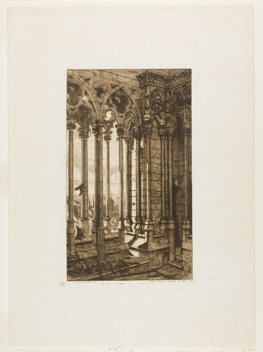 The Gallery of Notre-Dame, Paris