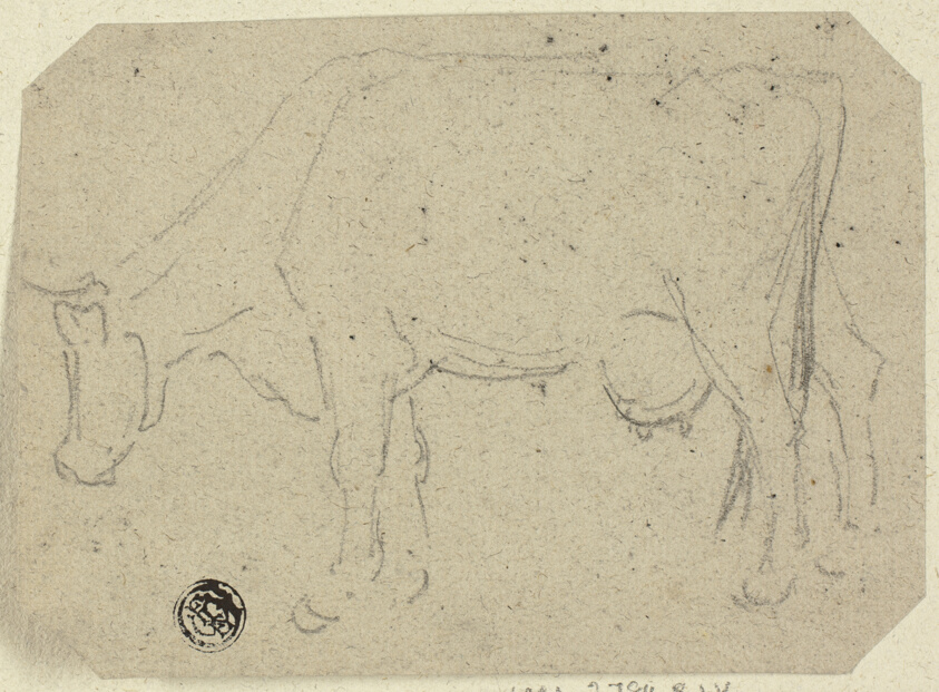 Cow Grazing (recto); Head of an Animal (verso)