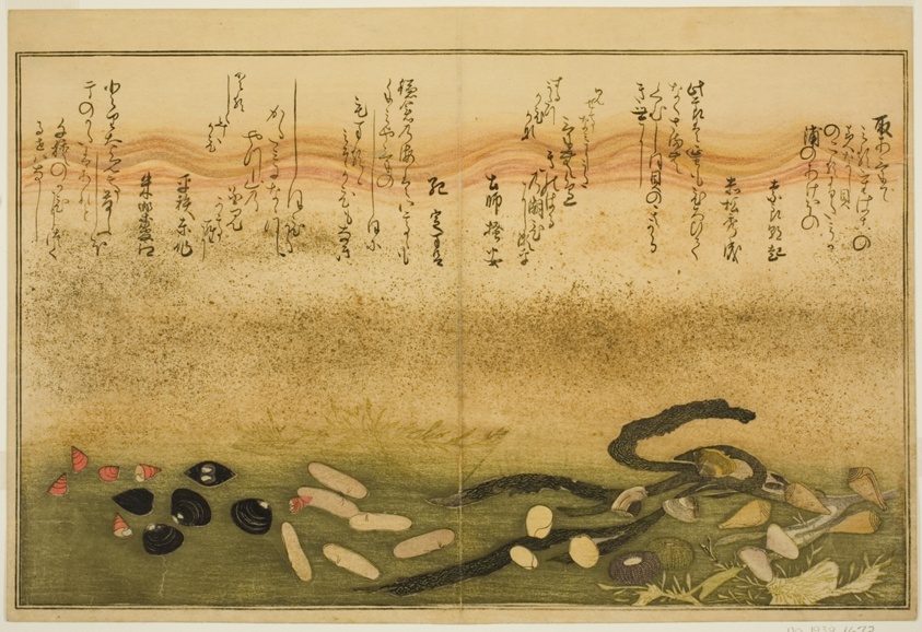 Minashi-gai, shio-gai, katatsu-gai, miso-gai, chijimi-gai, and chigusa-gai, from the illustrated book "Gifts from the Ebb Tide (Shiohi no tsuto)"